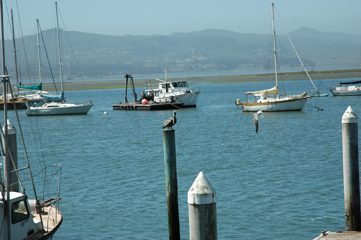 Morro Bay 019_1.jpg